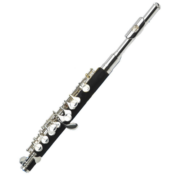 Flautín Ebonita Gara GPC-5