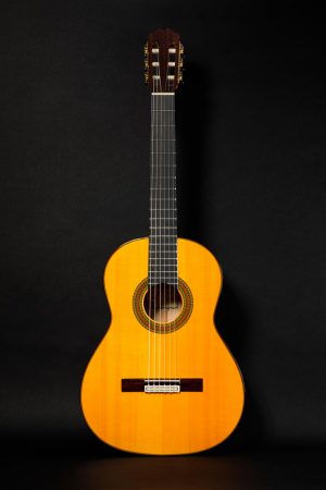 Guitarra Flamenca Antonio De Toledo Y-8