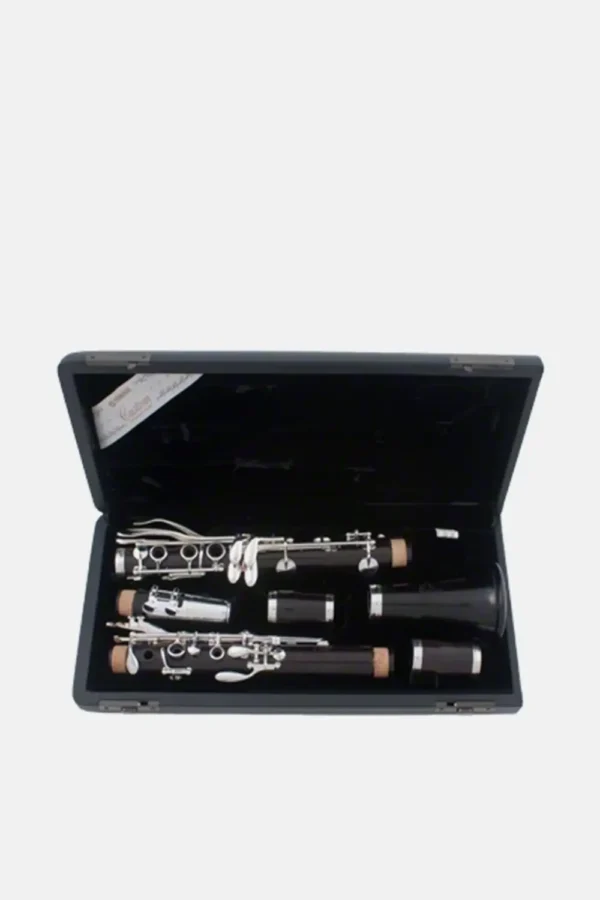 Clarinete Yamaha CSG con estuche