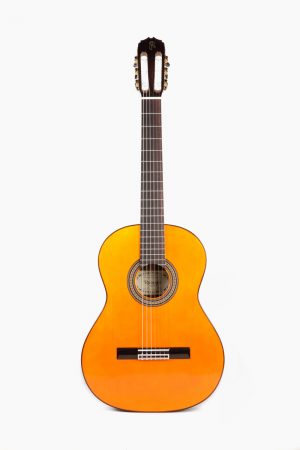 Guitarra Flamenca Palosanto Raimundo 126