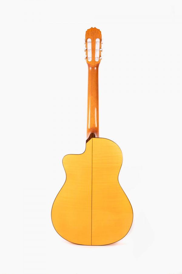 Guitarra-Raimundo-646E