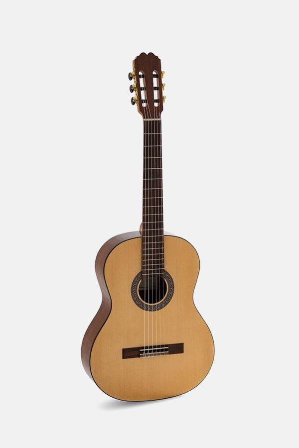 Guitarra española admira Elsa