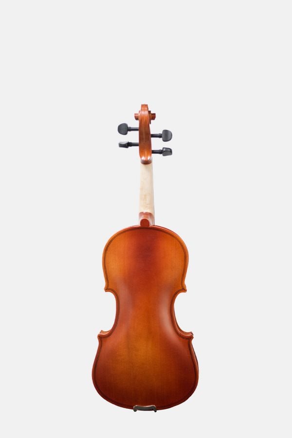 Violin-12-Amadeus-va101