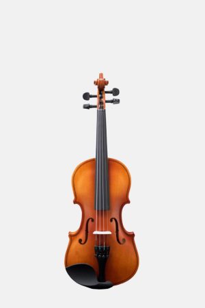 Violin amadeus v101 1/2 iniciación