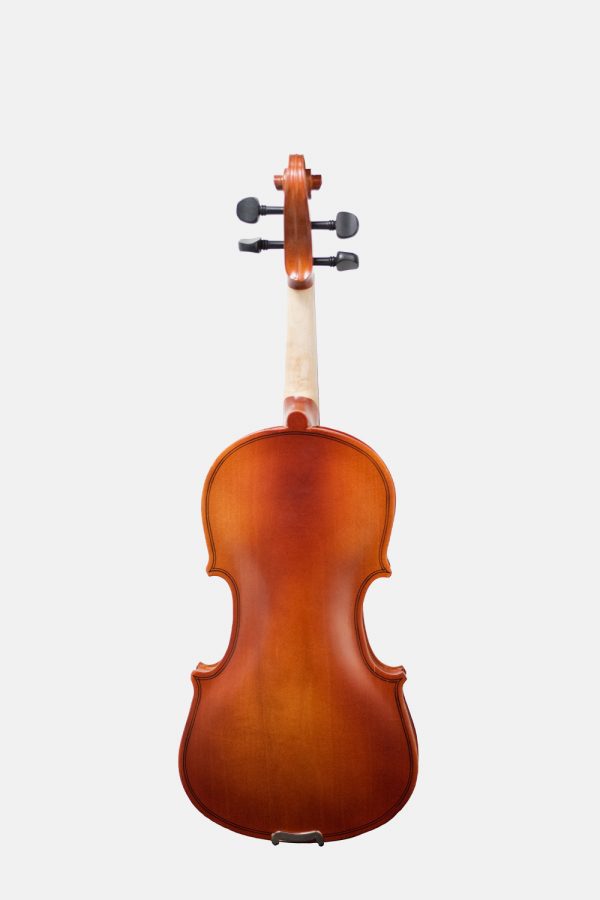 Violin-v101-amadeus-34