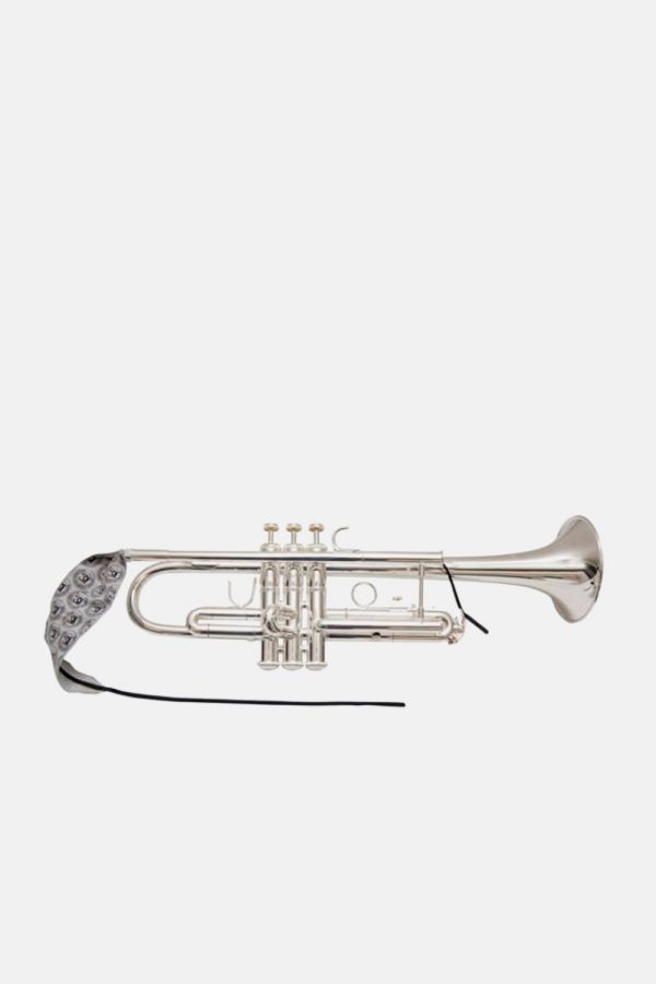 Limpiador-trompeta-bg-a31t