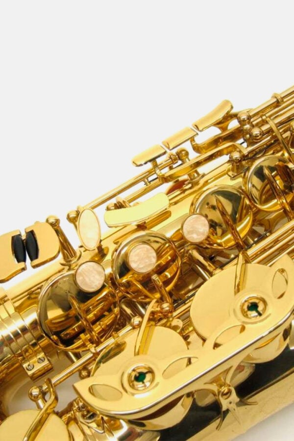 saxo-alto-j-michael-lacado-al780-zoom