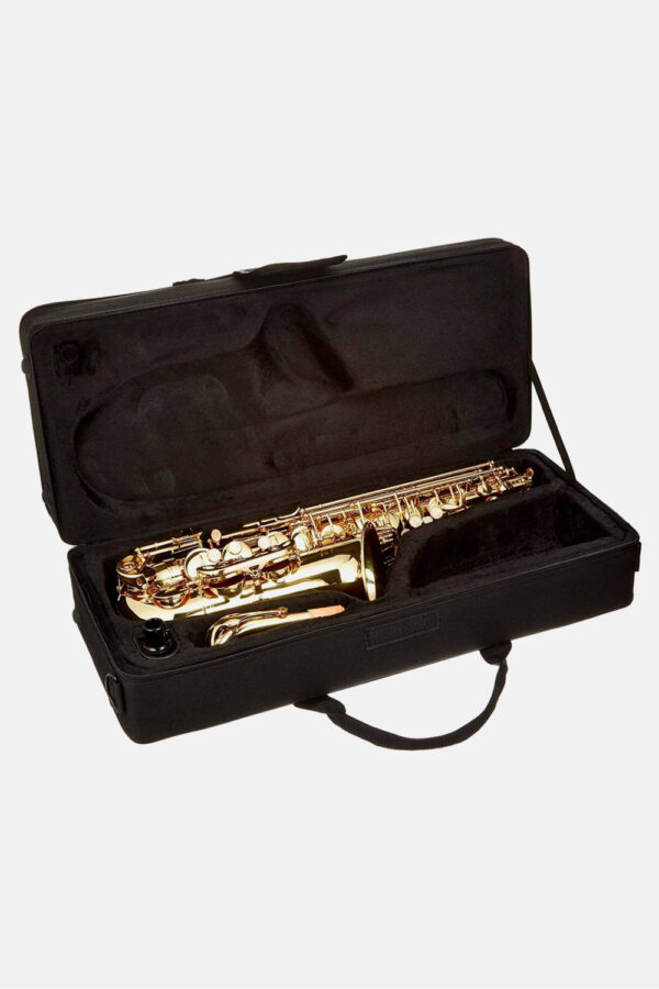 saxo-alto-j-michael-lacado-funda