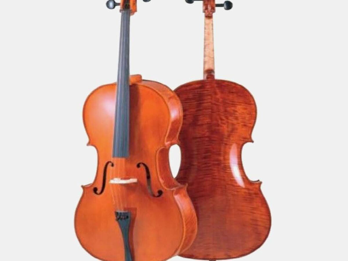 【未使用】Carlo Giordano cello チェロ2011年SC-90W 未使用】Carlo Giordano cello チェロ2011年SC-90W - メルカリ