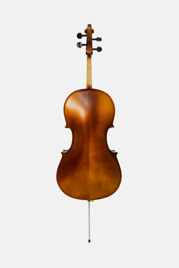 Cello Gaudieri