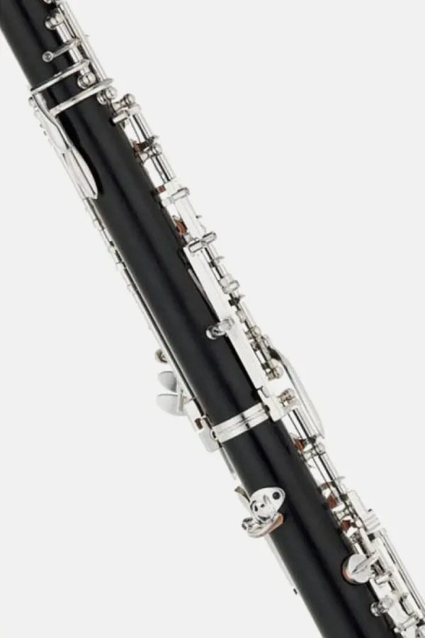 Oboe Bulgheroni FB-091:3-