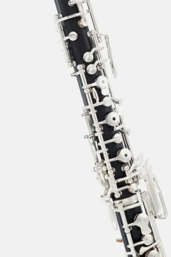 Oboe Bulgheroni FB-101:3-2