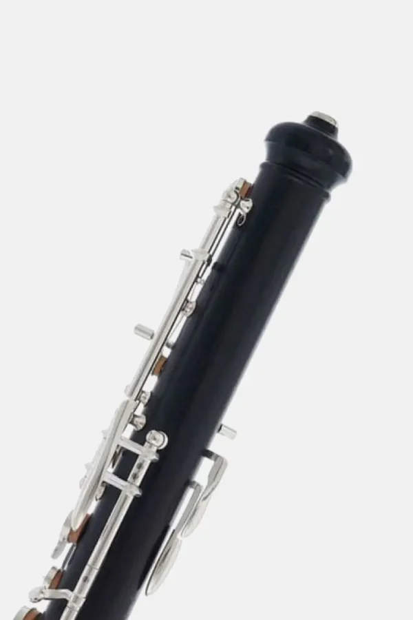 Oboe Bulgheroni FB-101:3-alta