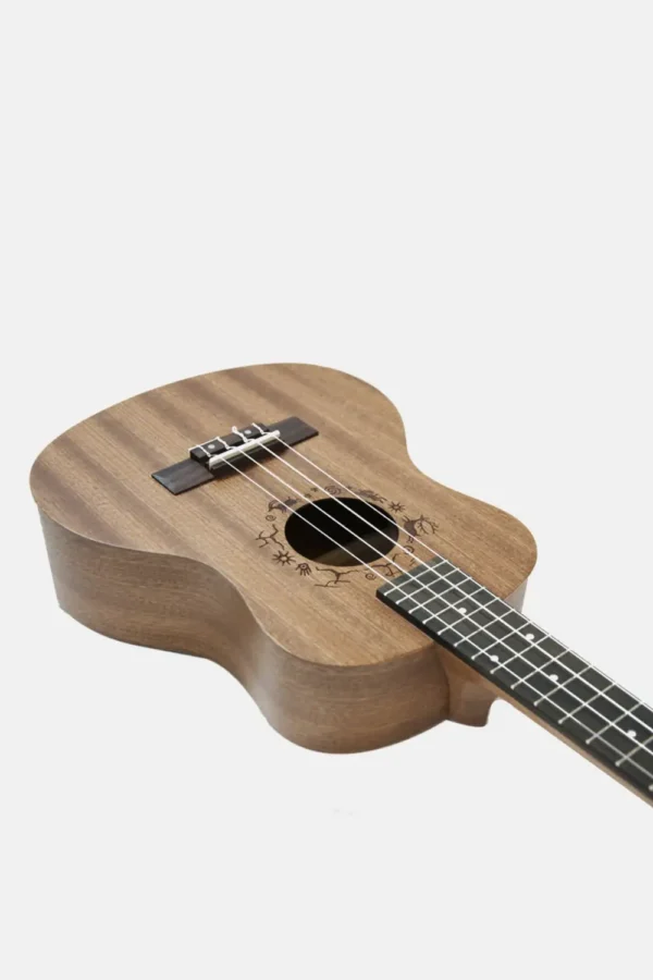 Ukelele flight tenor