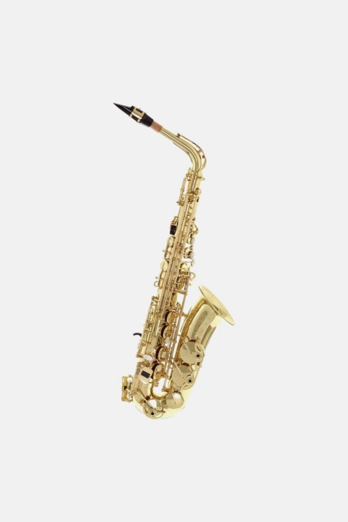 Saxo Alto Selmer Seles "Axos"