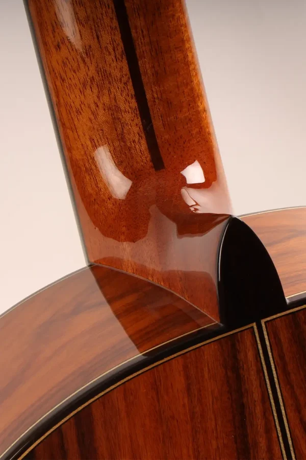 AT-18S - GUITARRA CLASICA ANTONIO DE TOLEDO EN COCOBOLO, PAU FERRO-4