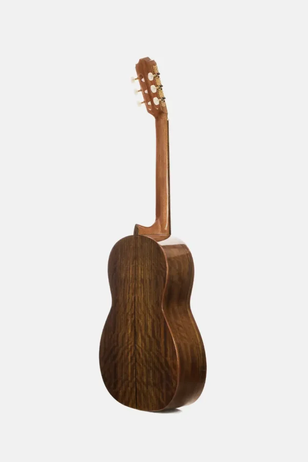 Guitarra 1S prudencio saez clasica