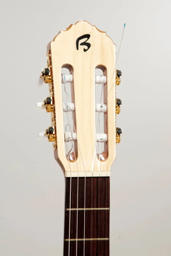 guitarra cutaway mastil