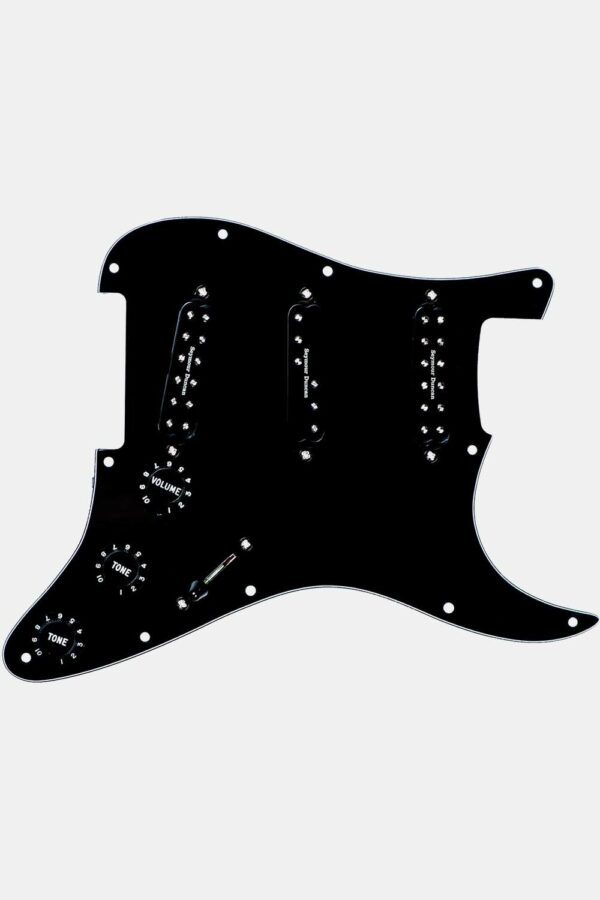 Pickgrd Assy Everything Axe Bl