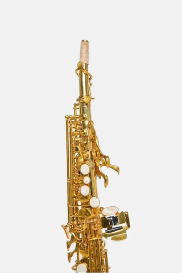 Bressant SS-220 Saxofón Soprano recto 1