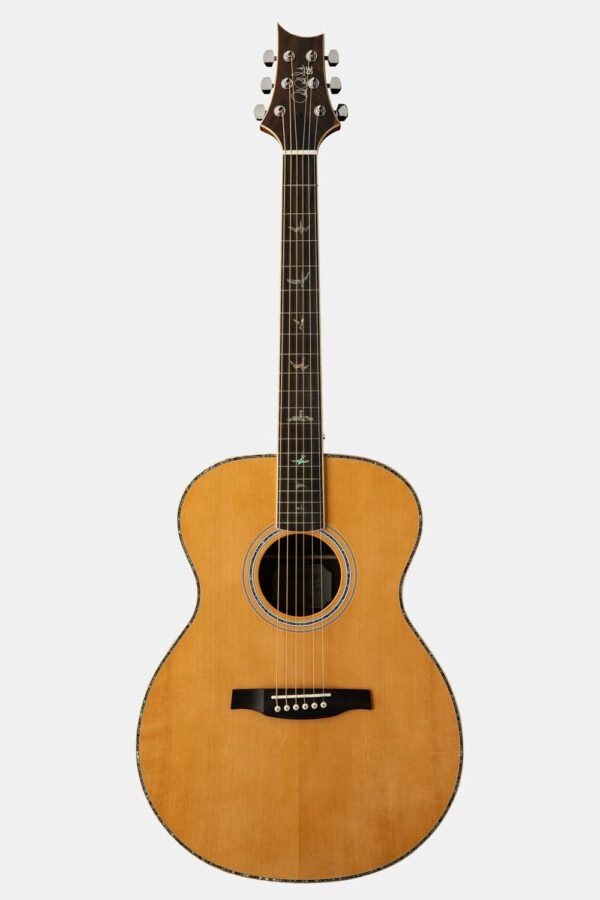 GUIT ACUST SE T60E NAT SONITON
