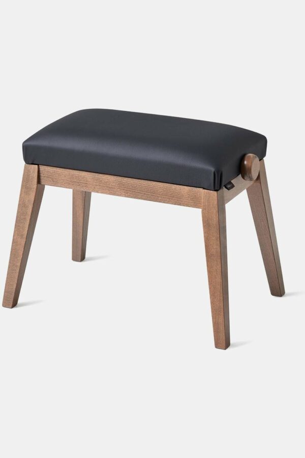 BANQ BG50-VINYL-BK