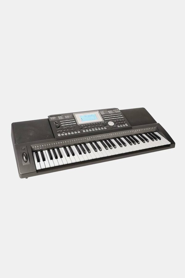 TECLADO MEDELI 61 TECLAS A810