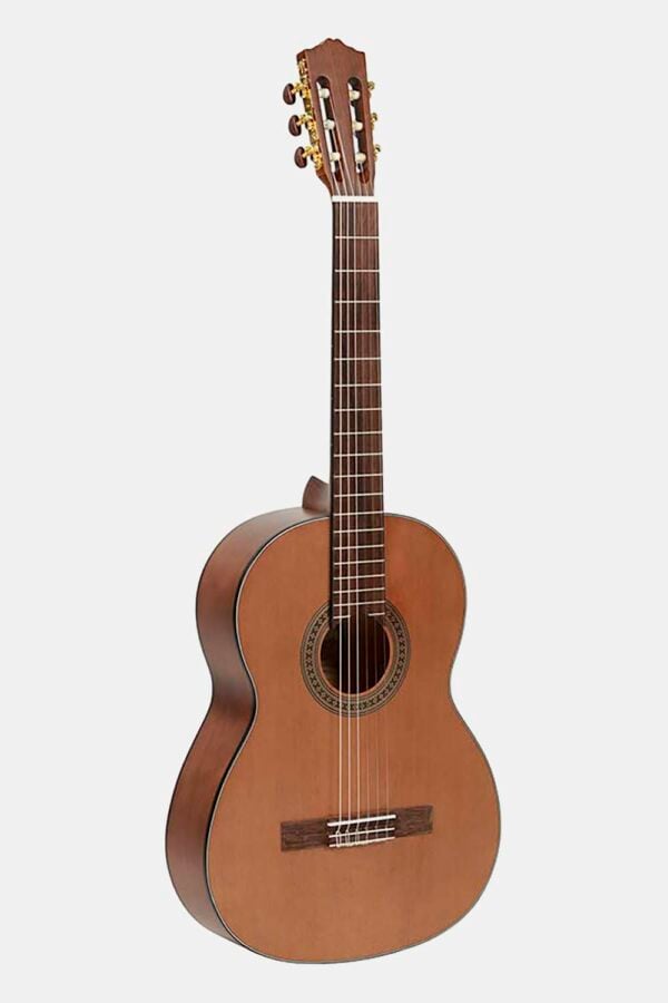 Guitarra Salvador Cortez cedro/agathis satinado
