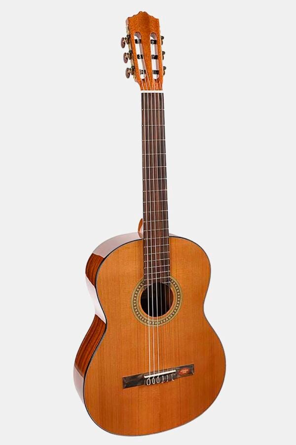 Guitarra Salvador Cortez cedro/sapeli natural