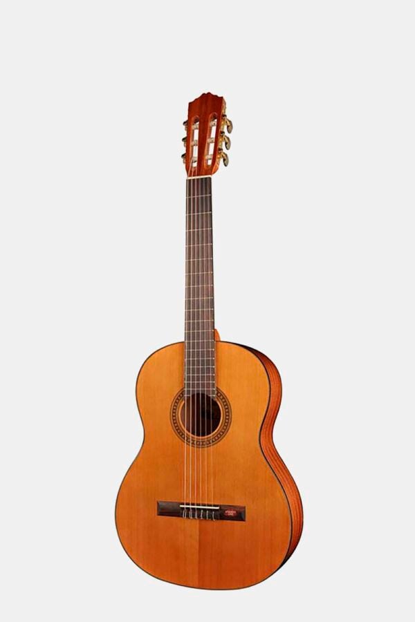 Guitarra 1/2 Salvador Cortez cedro/sapeli