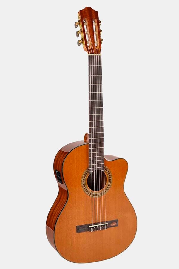 Guitarra EC Salvador Cortez cedro/sapeli