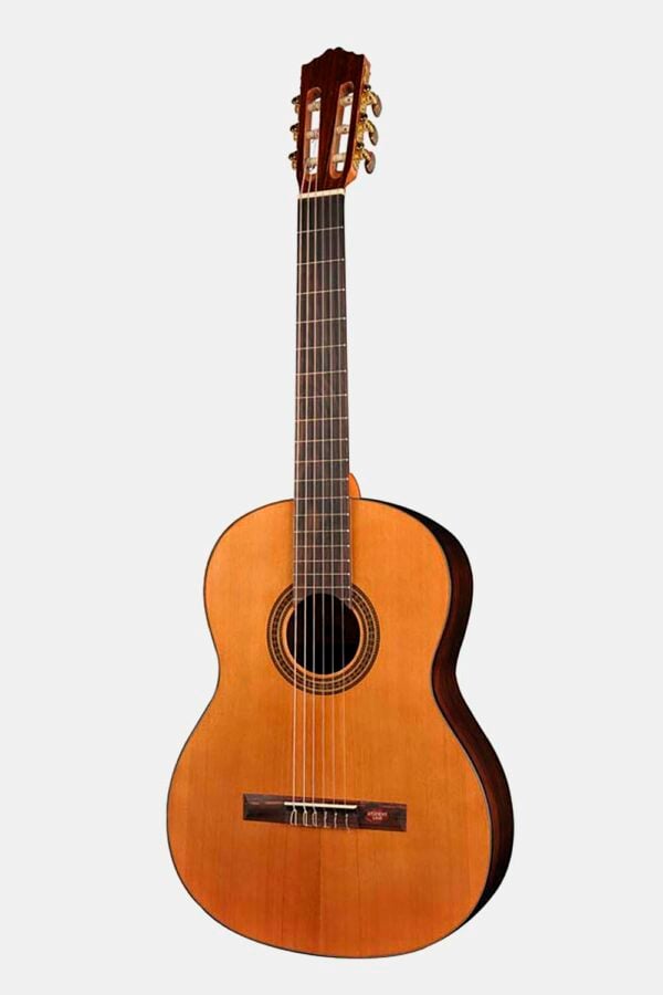 Guitarra Salvador Cortez cedro/nogal negro