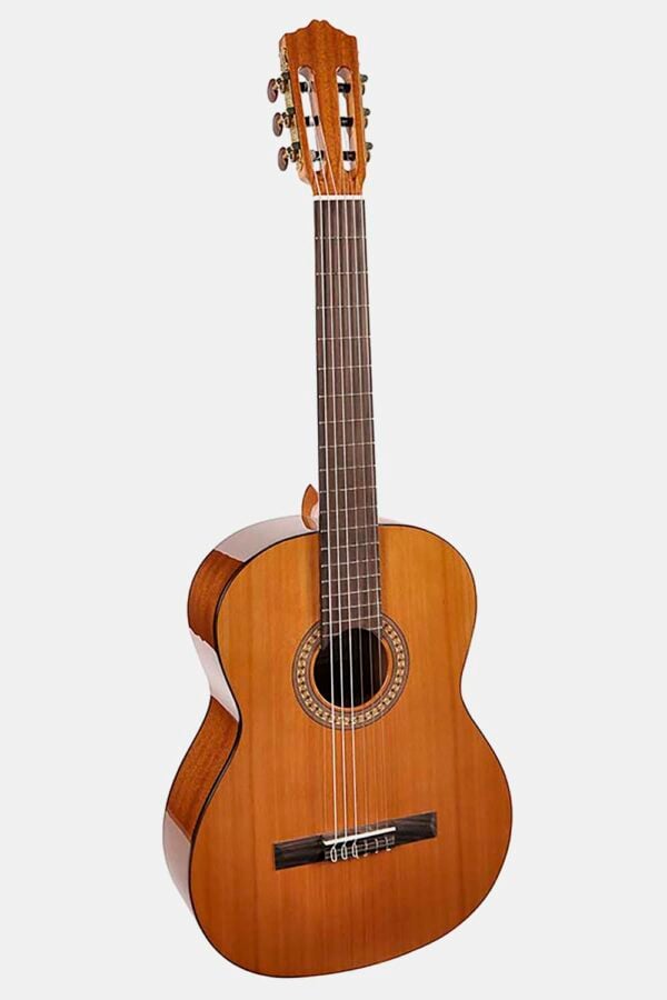 Guitarra Salvador Cortez cedro macizo/sapeli brillo