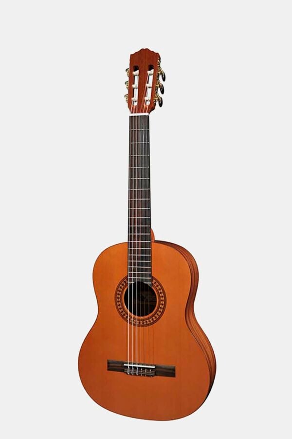 Guitarra 3/4 Salvador Cortez cedro macizo/sapeli bri.