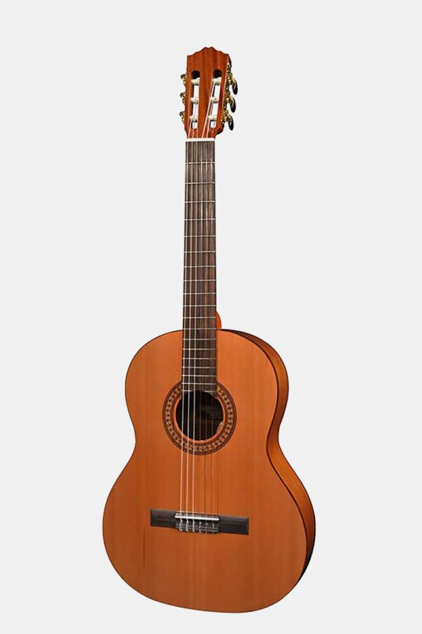 Guitarra 7/8 Salvador Cortez cedro macizo/sapeli bri.