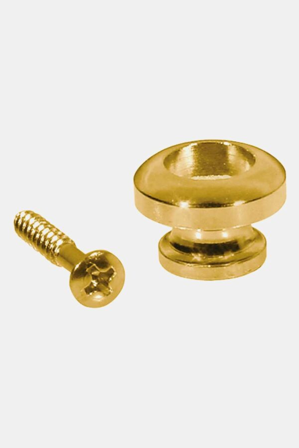 Sujetacorreas Boston 14mm dorado 2 uds