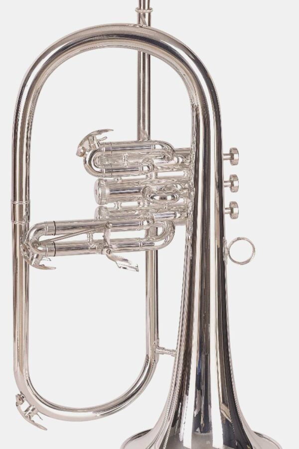 FLISCORNO J. MICHAEL PLATEADO FG550S
