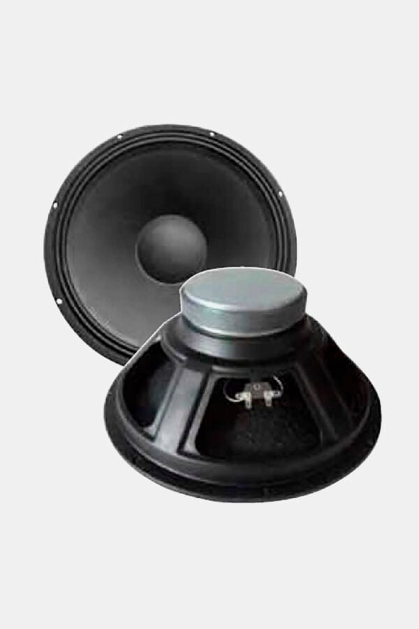 ALTAVOZ DE 15 LSW1525