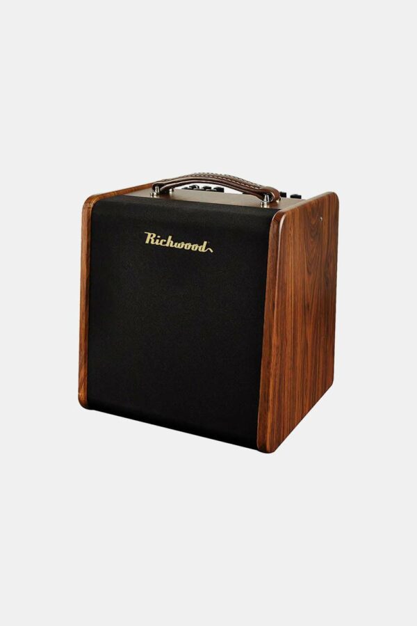 Amplificador Guitarra Acústica Richwood 2 canales